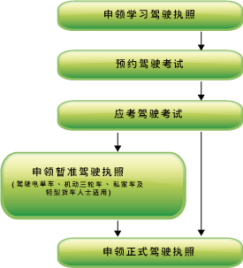 Flow Chart for Obtaining a Full Driving License