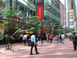 Full-time Pedestrian Street at Paterson Street