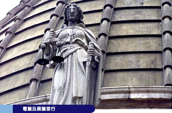 毒驾及药驾罪行 毒驾及药驾罪行