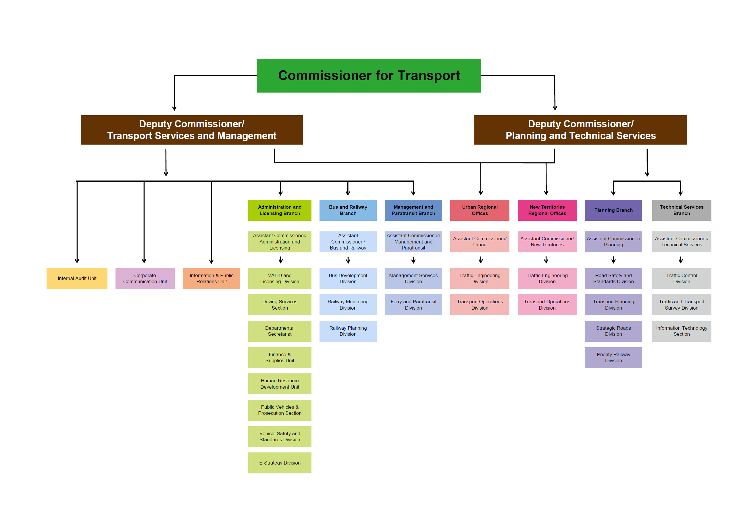 Mtr Organization Chart